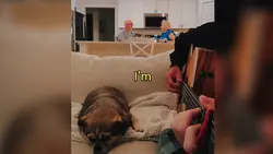 IM SORRY MOM