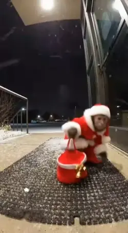merry xmas