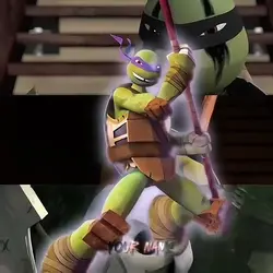 TURTLES EDIT