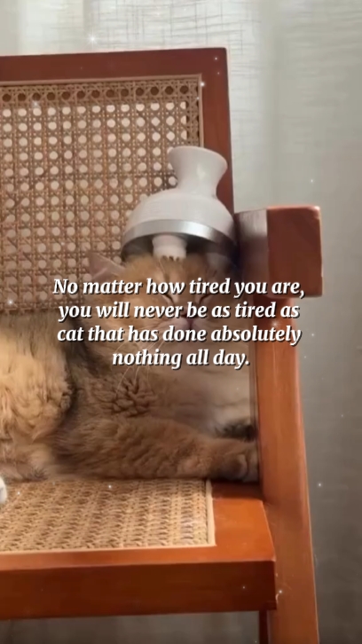 Não importa o quão cansado