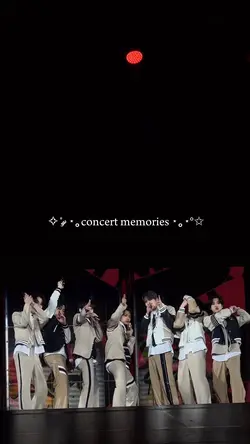 concert memories