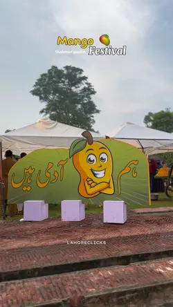 Festival template 
