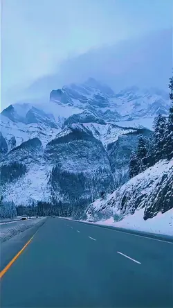 nature in the mounta