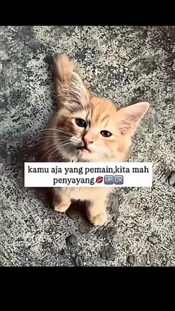 kamu aja yang pemain