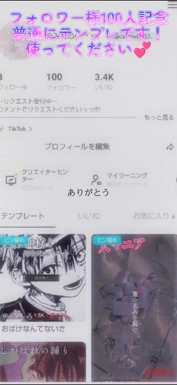 フォロワー様100人記念