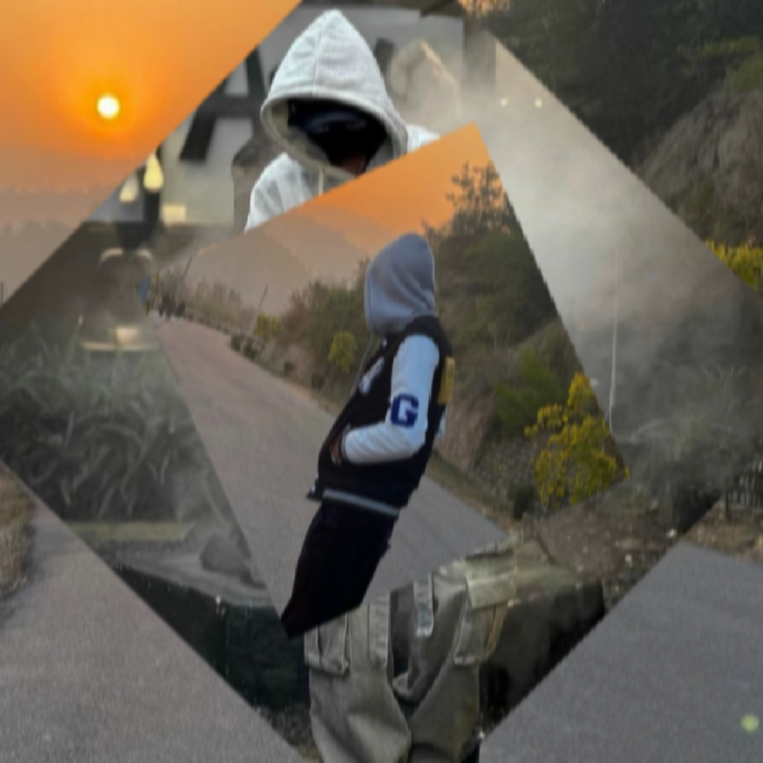 Cover Picture