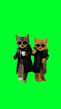Smooth criminal cats