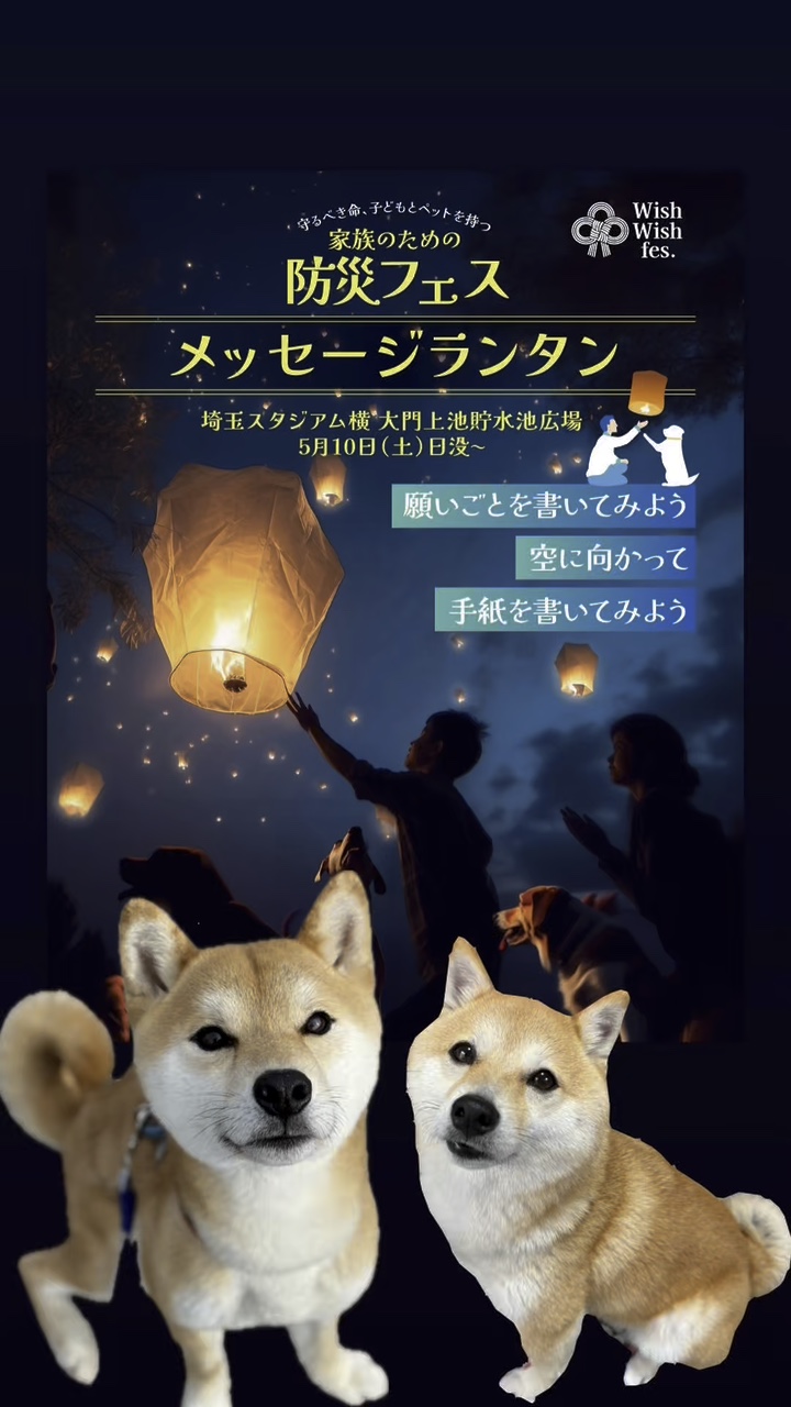 メッセージランタン