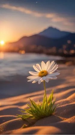 Glaub‘ an dich 🫶