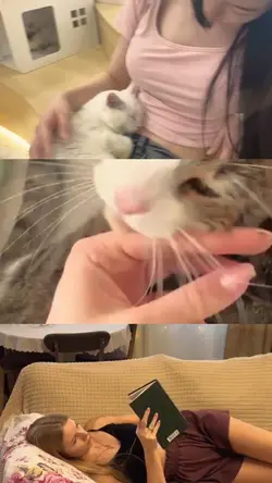 cat lovers day
