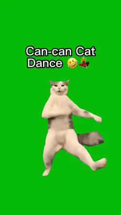 Can Can Cat Dance 💃