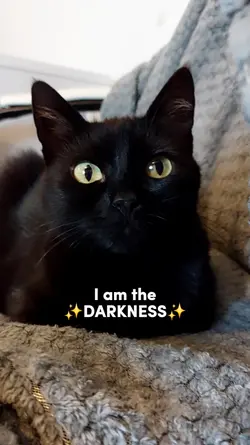 I am the darkness