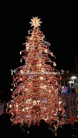wellcome christmas 