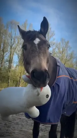 prince slowmo