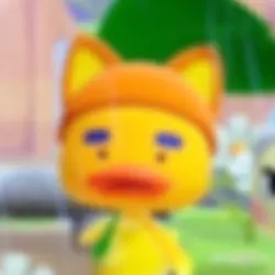 떡상 감사합니당!