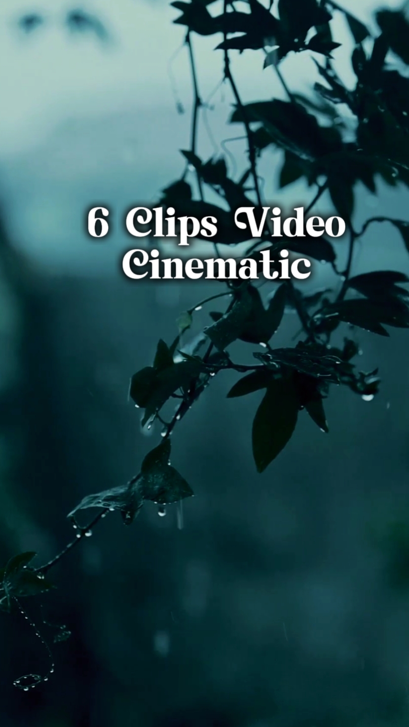 6 Clips de Video