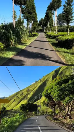 2 video 1 layout