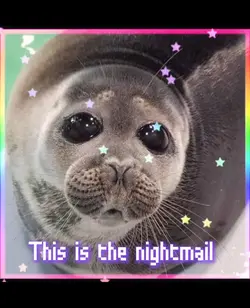 Seals are so silly 🦭
