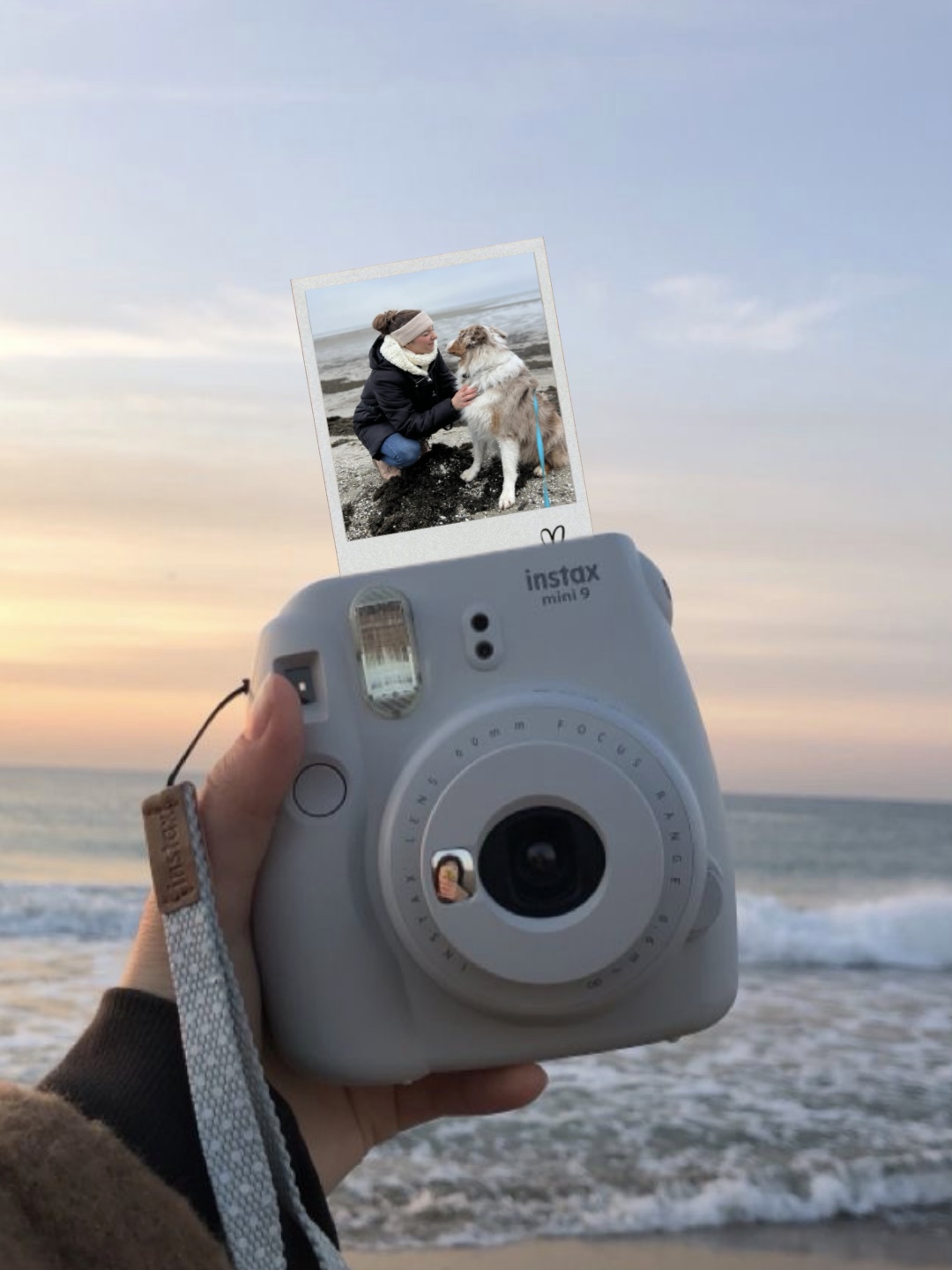 Interface ng Polaroid 