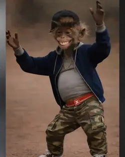 monkey dance 2