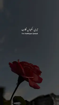 Love Song Template