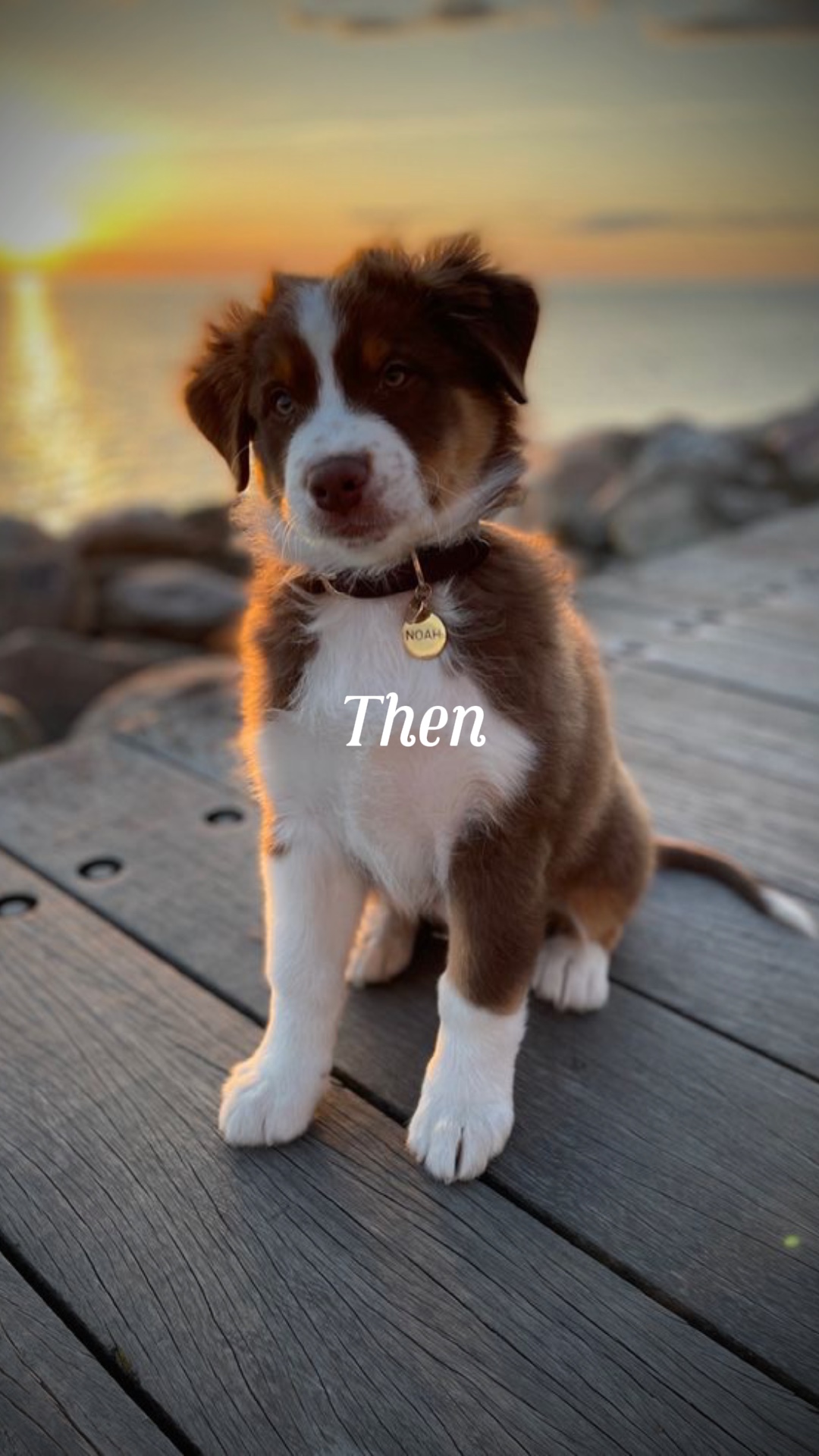 Then vs now 