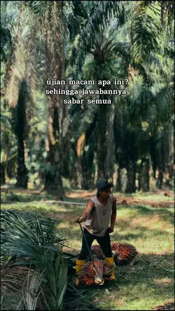 ujian apa ini?