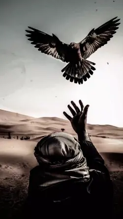 شفت عمك السوري 