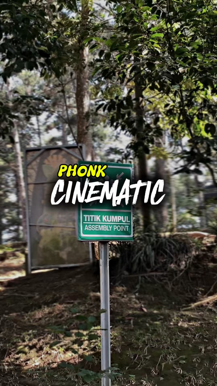 TELEFONE CINEMÁTICO 