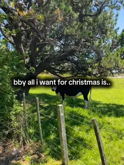 TAME IMPALA TICKETS!