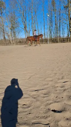 Mój ujeżdżeniowiec