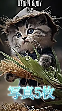 dandan心魅かれてく