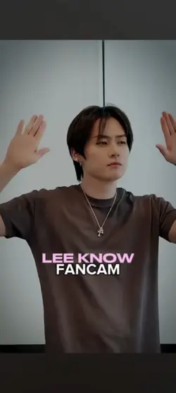 LEE KNOW FANCAM