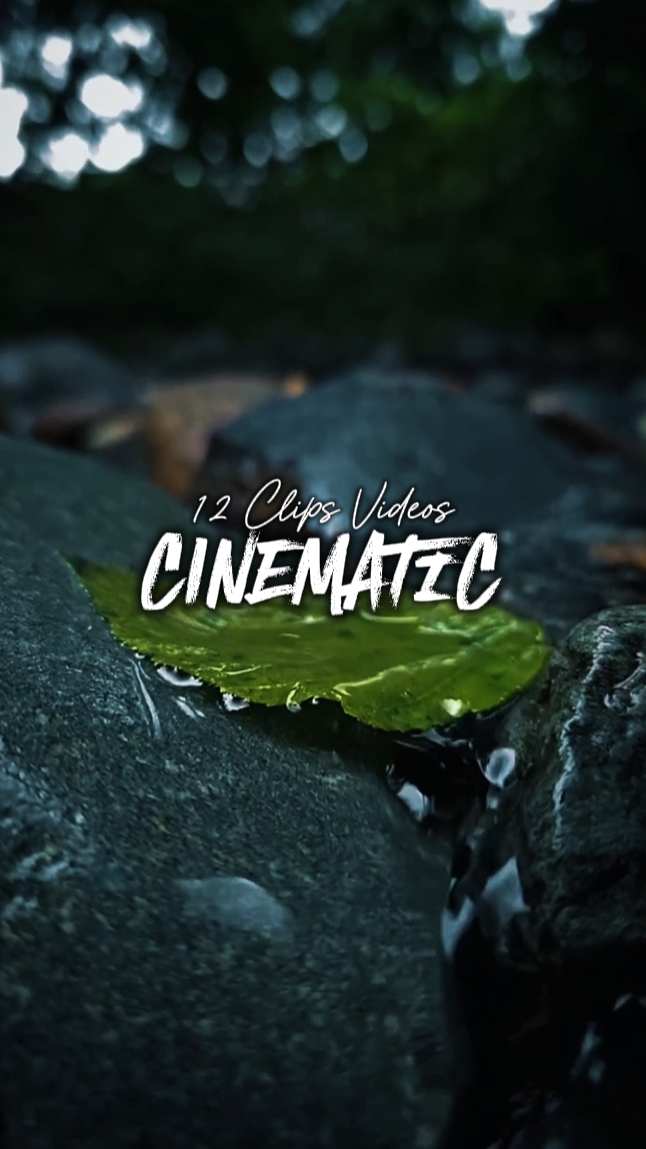 12 Clips Aesthetic