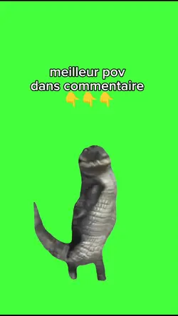 crocodile qui danse