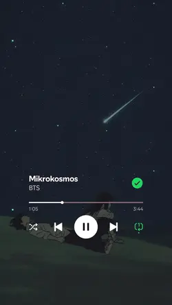 Mikrokosmos - BTS