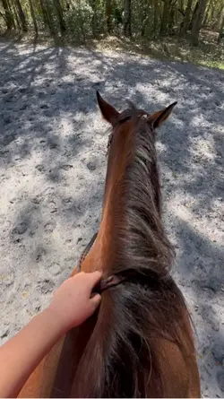 i found peace.
