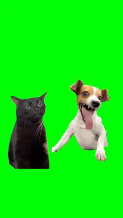 dog laughing cat