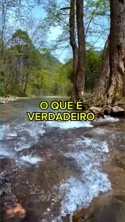 #o que é verdadeiro 