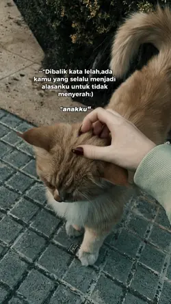Dibalik kata lelah
