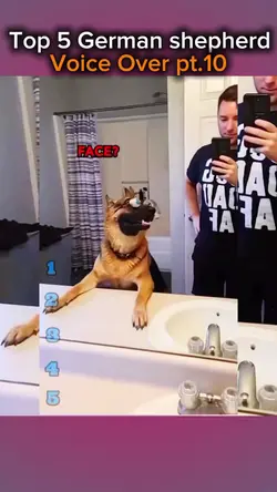 new template