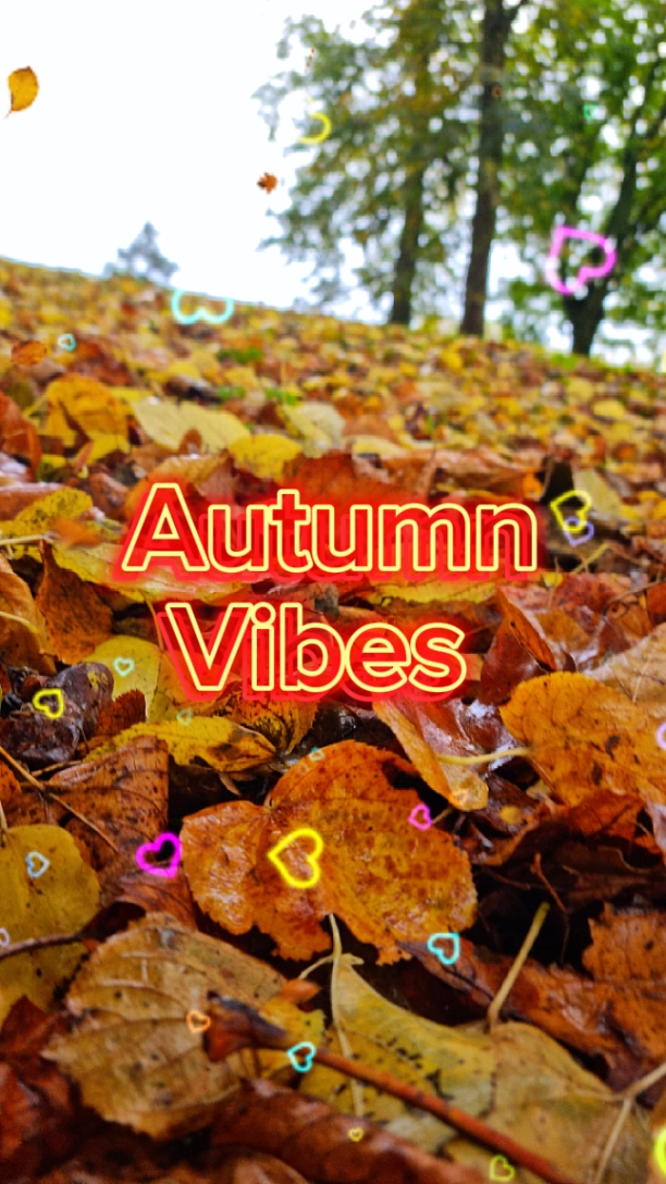 Autumn Vibes