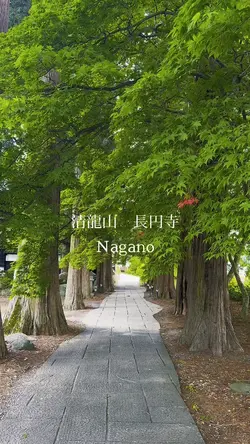 新緑とお寺