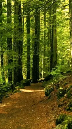 Nature