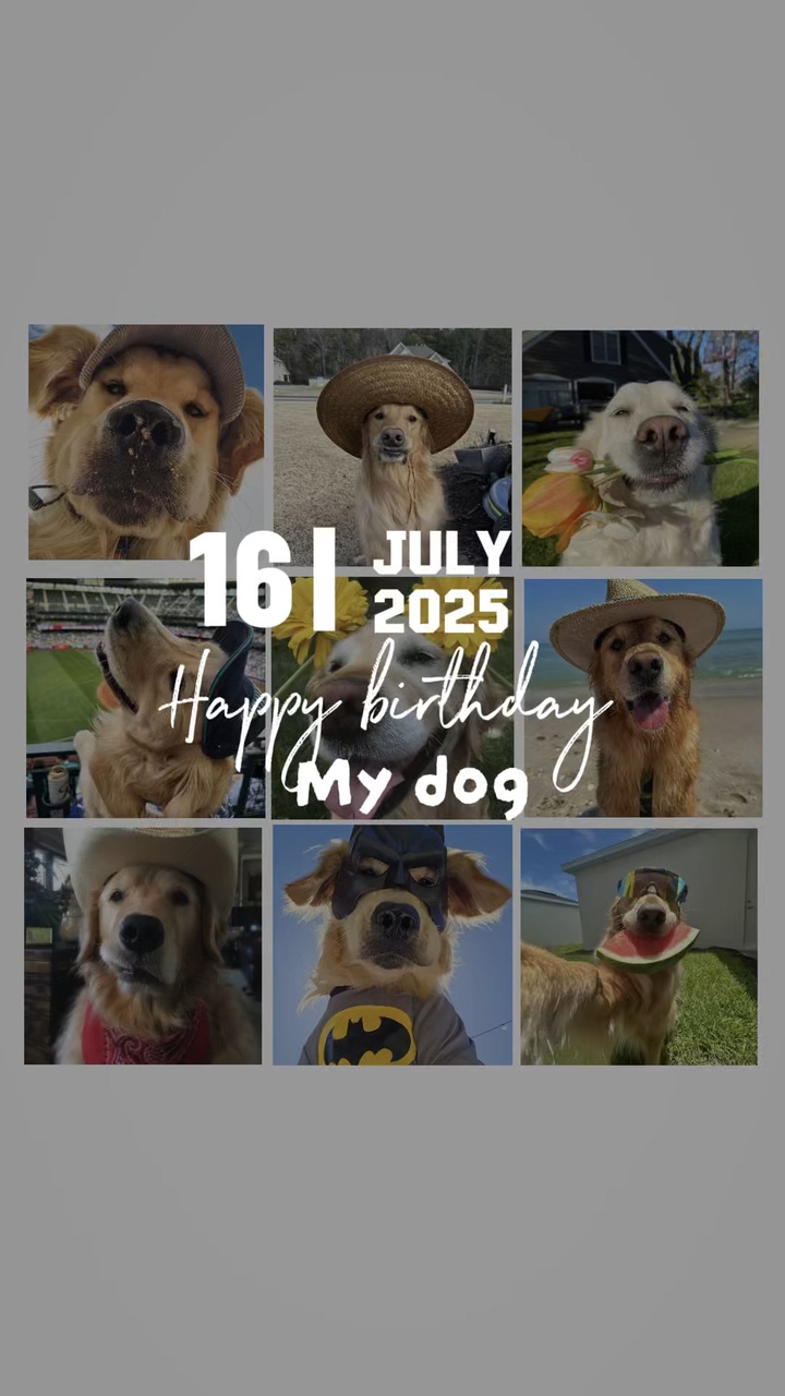 Happy birthday dog