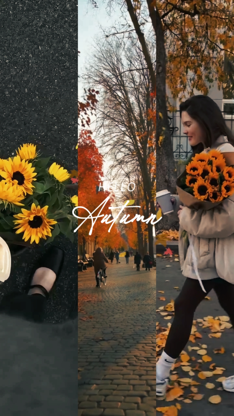 hallo herbst