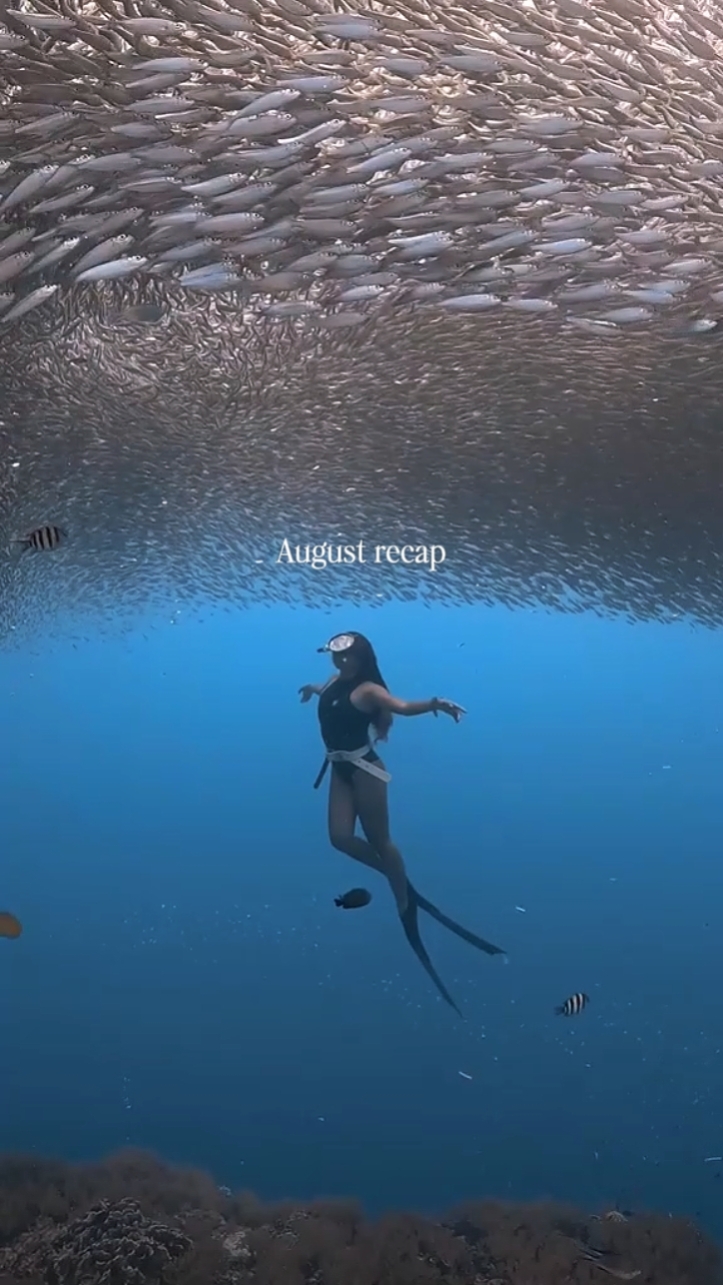 August recap 