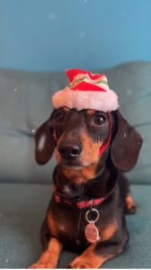 Compras navideñas 