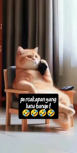 ngakak kucing