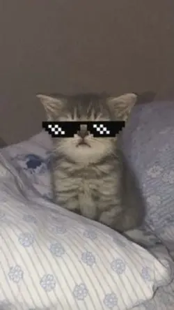 Visual Flow Style Ed